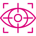 Vision